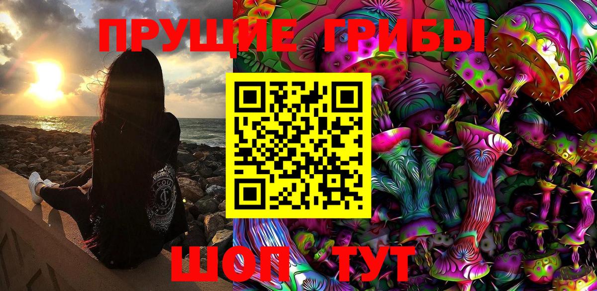 Галлюциногенные грибы Cubensis  Вход с VPN  Вышний Волочёк 